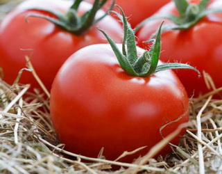 Українські тепличні томати програють турецькому імпорту
